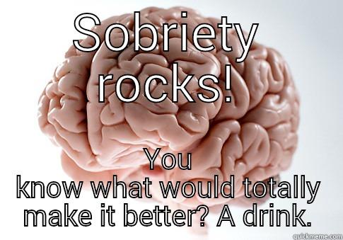 SOBRIETY ROCKS! YOU KNOW WHAT WOULD TOTALLY MAKE IT BETTER? A DRINK. Scumbag Brain