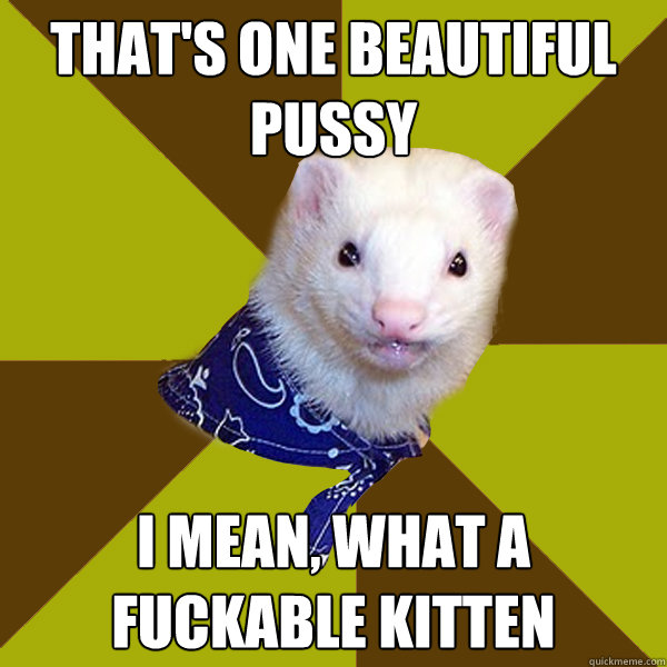 That's one beautiful pussy I mean, what a fuckable kitten  