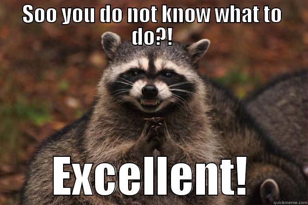 SOO YOU DO NOT KNOW WHAT TO DO?! EXCELLENT! Evil Plotting Raccoon