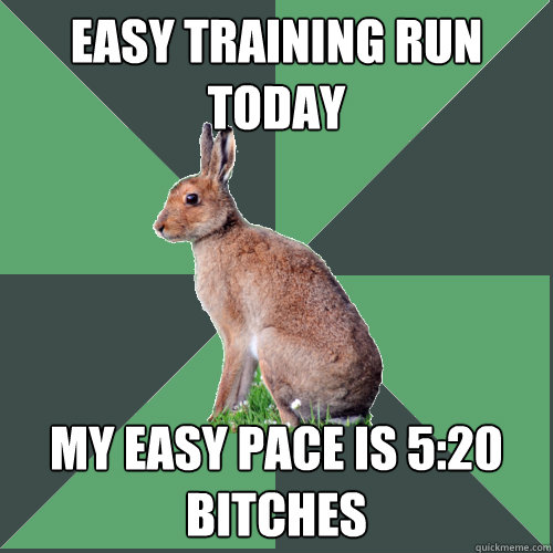 Easy training run today My easy pace is 5:20 bitches - Easy training run today My easy pace is 5:20 bitches  Harrier Hare