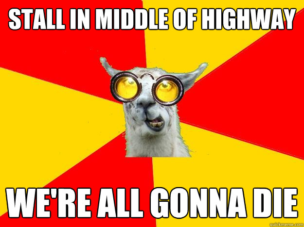 stall in middle of highway we're all gonna die  Learner Driver Llama