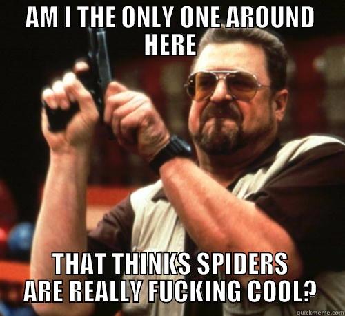 C'mon, I can't be the only one. - AM I THE ONLY ONE AROUND HERE THAT THINKS SPIDERS ARE REALLY FUCKING COOL? Am I The Only One Around Here