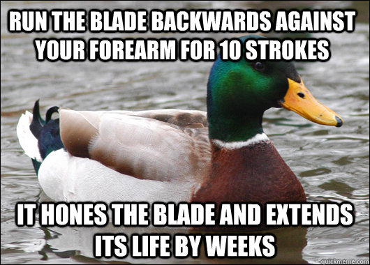 Run the blade backwards against your forearm for 10 strokes It hones the blade and extends its life by weeks - Run the blade backwards against your forearm for 10 strokes It hones the blade and extends its life by weeks  Actual Advice Mallard