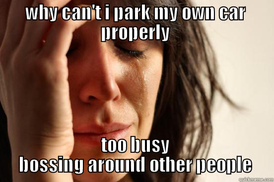bad neighbour - WHY CAN'T I PARK MY OWN CAR PROPERLY TOO BUSY BOSSING AROUND OTHER PEOPLE First World Problems