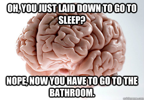 oh, you just laid down to go to sleep? nope, now you have to go to the bathroom. - oh, you just laid down to go to sleep? nope, now you have to go to the bathroom.  Scumbag Brain