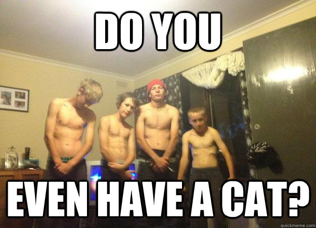 do you even have a cat? - do you even have a cat?  Misc