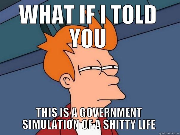 WHAT IF I TOLD YOU THIS IS A GOVERNMENT SIMULATION OF A SHITTY LIFE Futurama Fry