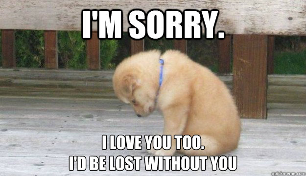 I'm sorry. I love you too.
I'd be lost without you - I'm sorry. I love you too.
I'd be lost without you  SORRY PUPPY