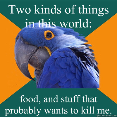 Two kinds of things in this world: food, and stuff that probably wants to kill me.  Paranoid Parrot