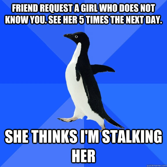 Friend request a girl who does not know you. See her 5 times the next day.  she thinks i'm stalking her  Socially Awkward Penguin