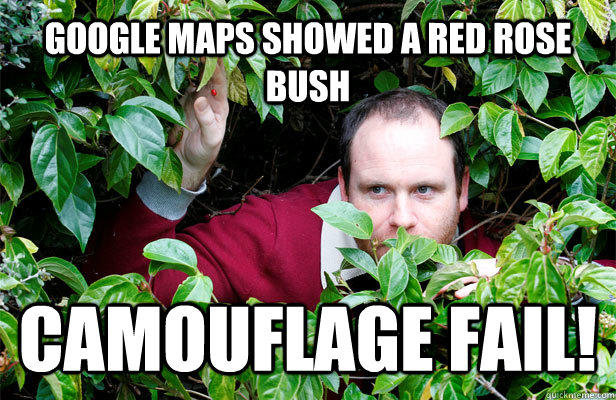 Google maps showed a red rose bush camouflage fail!  Creepy Stalker Guy