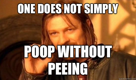 One Does Not Simply Poop without peeing  Boromir