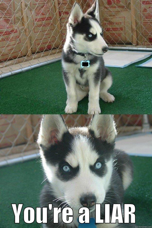  YOU'RE A LIAR Insanity puppy