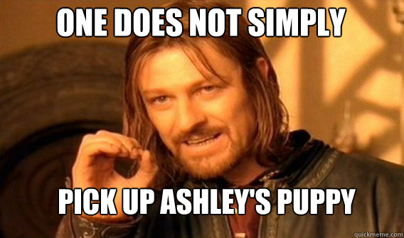 One does not simply Pick up Ashley's puppy  Boromir