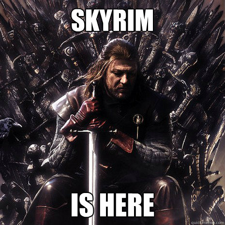 SKYRIM IS HERE  Ned Stark