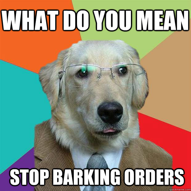 what do you mean stop barking orders - what do you mean stop barking orders  Business Dog