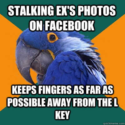 STALKING EX'S PHOTOS ON FACEBOOK KEEPS FINGERS AS FAR AS POSSIBLE AWAY FROM THE L KEY  Paranoid Parrot