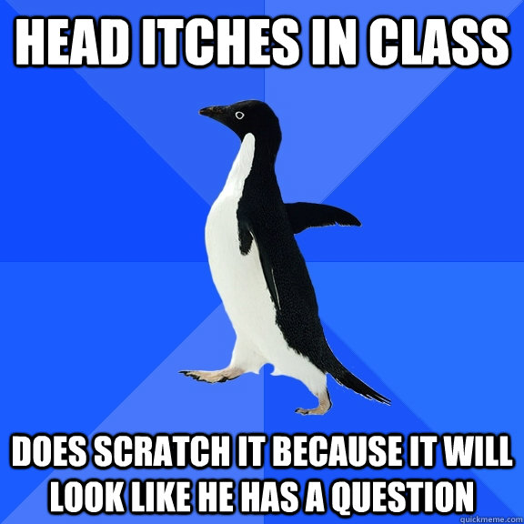 Head itches in class does scratch it because it will look like he has a question  Socially Awkward Penguin