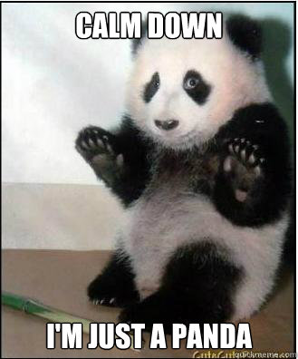 CALM DOWN I'm just a panda - CALM DOWN I'm just a panda  Panda Whoa