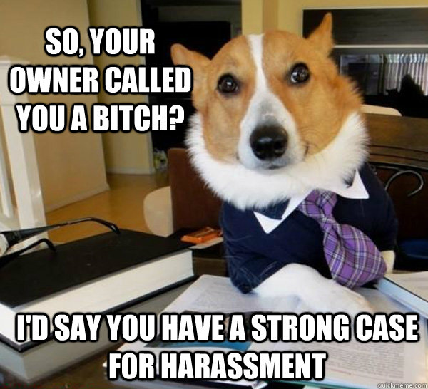 So, your owner called you a bitch? I'd say you have a strong case for harassment - So, your owner called you a bitch? I'd say you have a strong case for harassment  Lawyer Dog