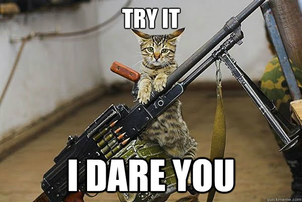 Try it I dare you  Army Kitty