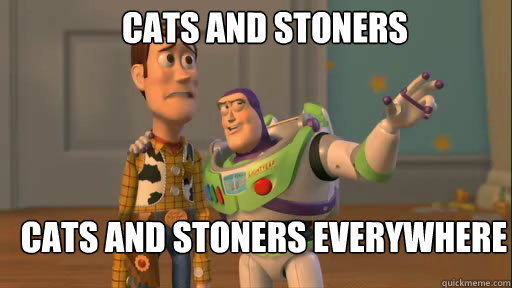 Cats and Stoners Cats and Stoners Everywhere  Everywhere