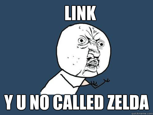 Link Y U NO CALLED ZELDA  Y U No