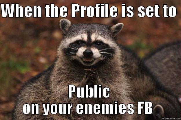 WHEN THE PROFILE IS SET TO  PUBLIC ON YOUR ENEMIES FB  Evil Plotting Raccoon