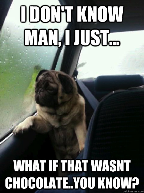 I don't know man, I just... what if that wasnt chocolate..you know?  Introspective Pug