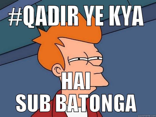 #QADIR YE KYA HAI SUB BATONGA Futurama Fry