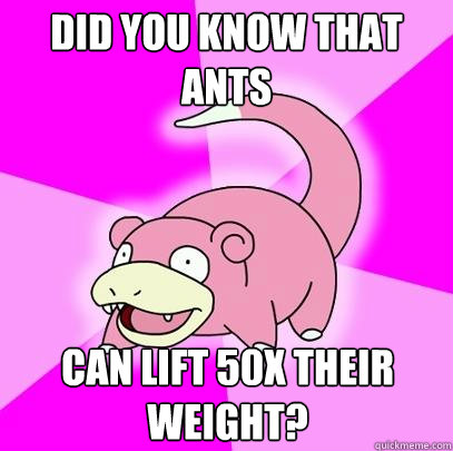 Did you know that ants Can lift 50x their weight?  Slowpoke