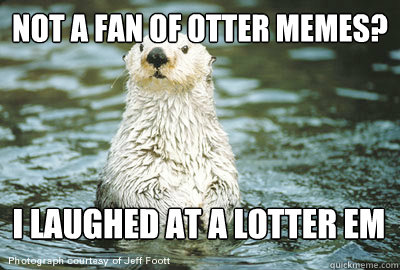not a fan of otter memes? i laughed at a lotter em - not a fan of otter memes? i laughed at a lotter em  Misc
