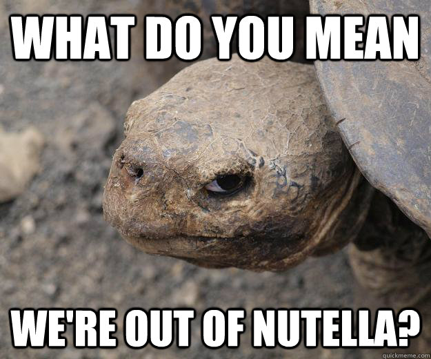 what do you mean we're out of nutella? - what do you mean we're out of nutella?  Murderturtle nutella