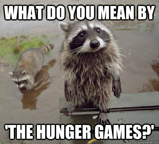 What do you mean by  'The Hunger Games?' - What do you mean by  'The Hunger Games?'  Curious Raccoon