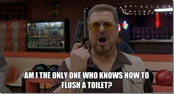 Am i the only one who knows how to flush a toilet?  