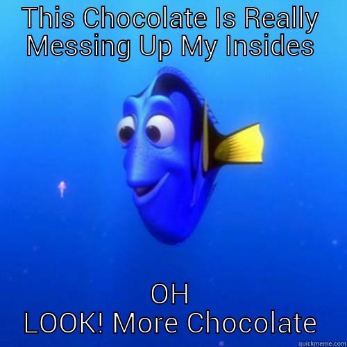 THIS CHOCOLATE IS REALLY MESSING UP MY INSIDES OH LOOK! MORE CHOCOLATE dory