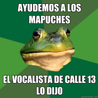 ayudemos a los mapuches el vocalista de calle 13 lo dijo  Foul Bachelor Frog
