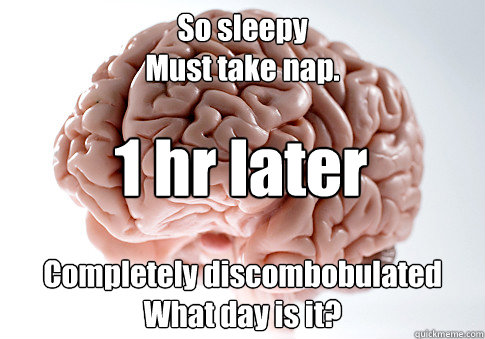 So sleepy
Must take nap. Completely discombobulated
What day is it? 1 hr later - So sleepy
Must take nap. Completely discombobulated
What day is it? 1 hr later  Scumbag Brain