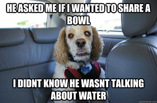 He asked me if i wanted to share a bowl I didnt know he wasnt talking about water - He asked me if i wanted to share a bowl I didnt know he wasnt talking about water  10 Dog