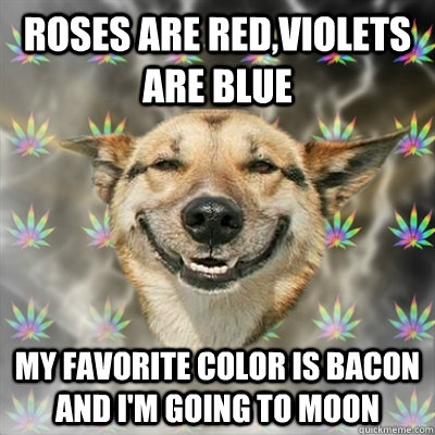 Roses are red,violets are blue my favorite color is bacon and i'm going to moon  Stoner Dog