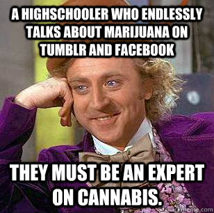 A highschooler who endlessly talks about marijuana on tumblr and facebook they must be an expert on cannabis.  Condescending Wonka