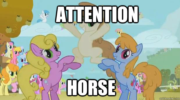 ATTENTION HORSE  
