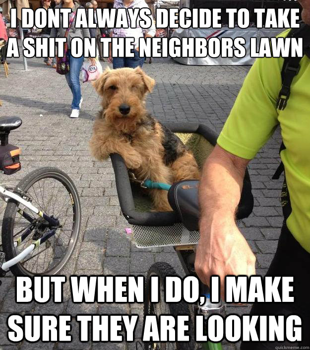 i dont always decide to take a shit on the neighbors lawn but when I do, i make sure they are looking   The Most Interesting Dog in the World