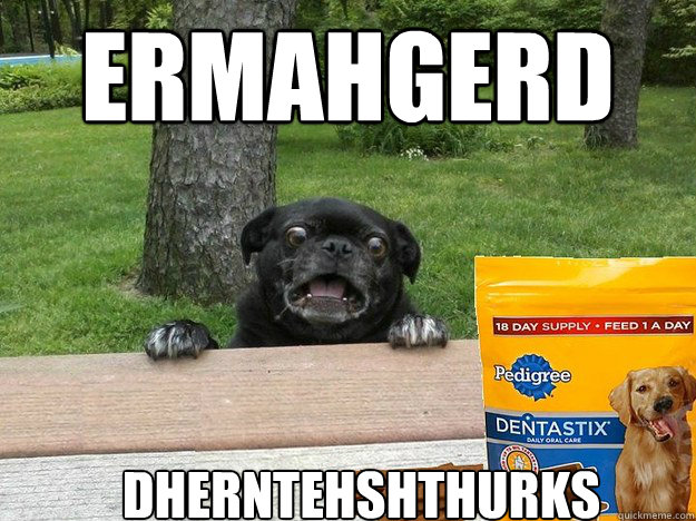 ermahgerd DHERNTEHSHTHURKS  Berks Dog