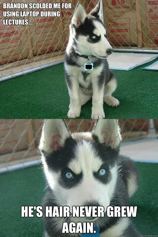 Brandon scolded me for 
using laptop during 
lectures.... He's hair never grew again.  Insanity puppy