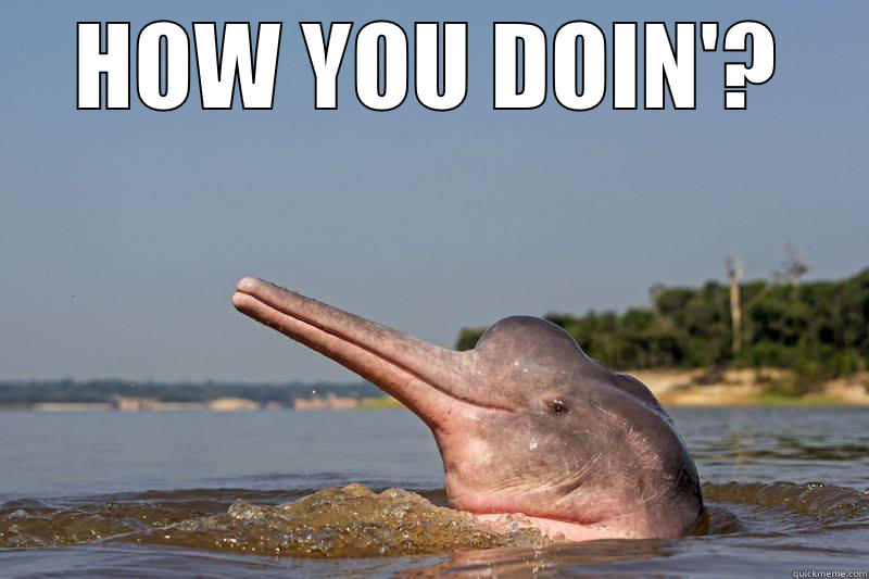 HOW YOU DOIN'?  Misc