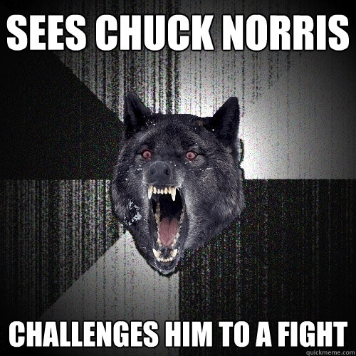 sees chuck norris challenges him to a fight  Insanity Wolf