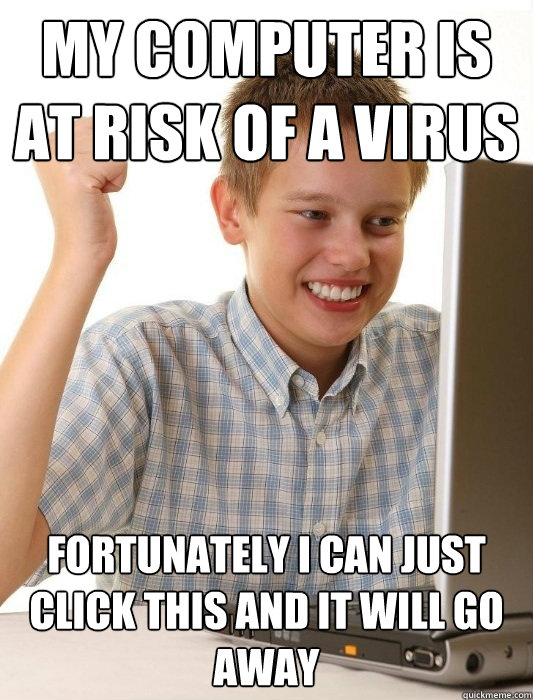 My computer is at risk of a virus Fortunately I can just click this and it will go away  First Day on the Internet Kid