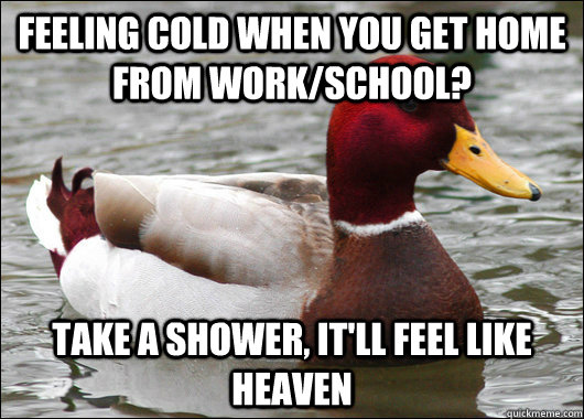 Feeling cold when you get home from work/school? Take a shower, it'll feel like heaven  Malicious Advice Mallard