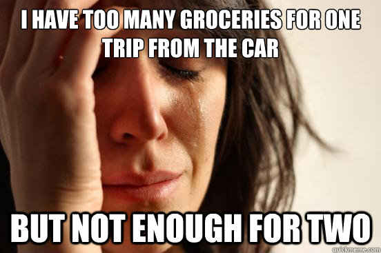 I have too many groceries for one trip from the car but not enough for two  First World Problems